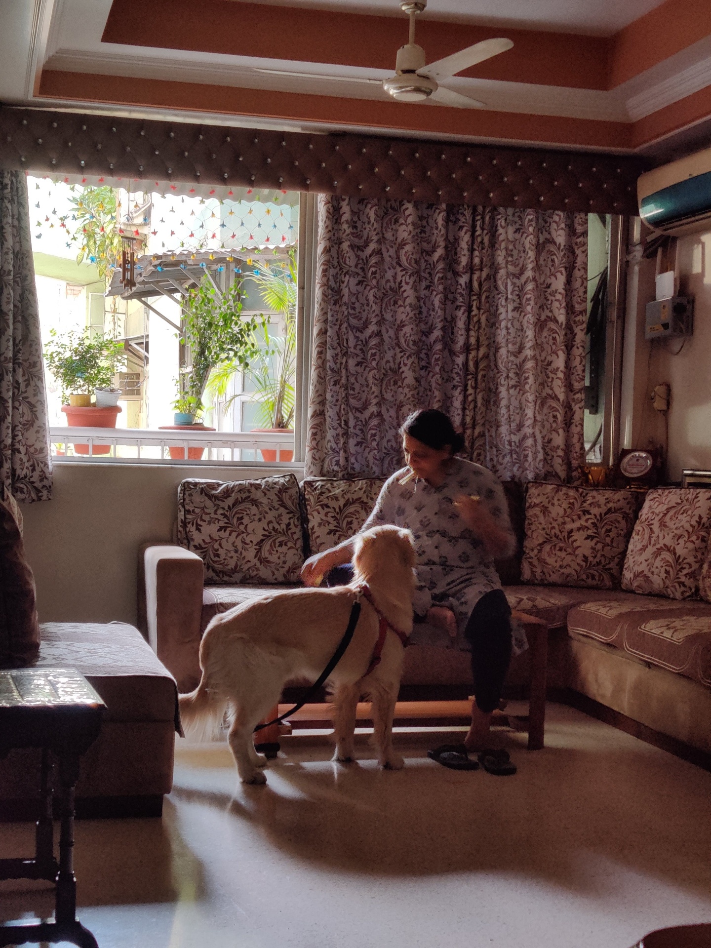 Maa on the old patterned sofa, Bruno beside her.