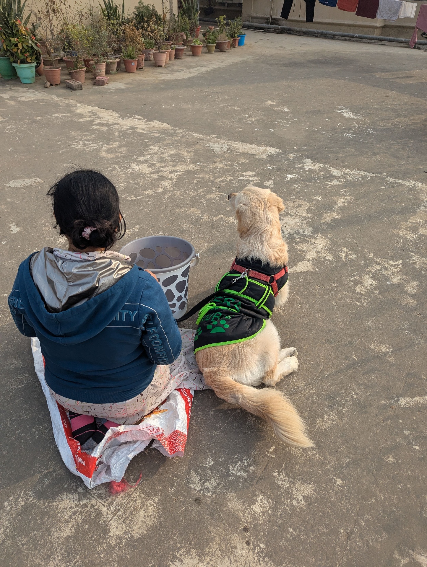 Maa and Bruno sitting on a rooftop in winter, both with their backs to the camera.